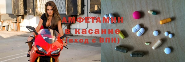 индика Абаза