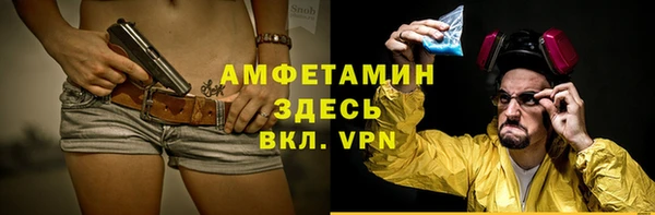 индика Абаза