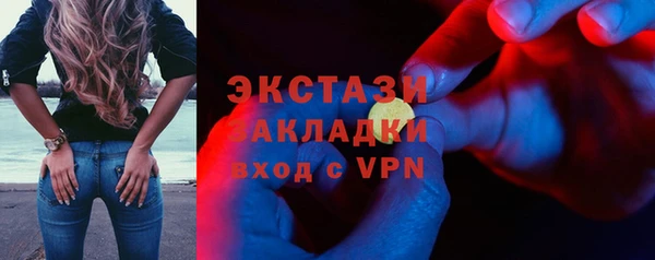 индика Абаза