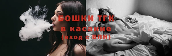 индика Абаза