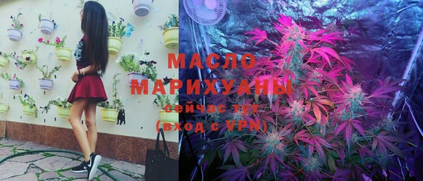 индика Абаза