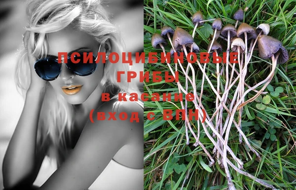индика Абаза