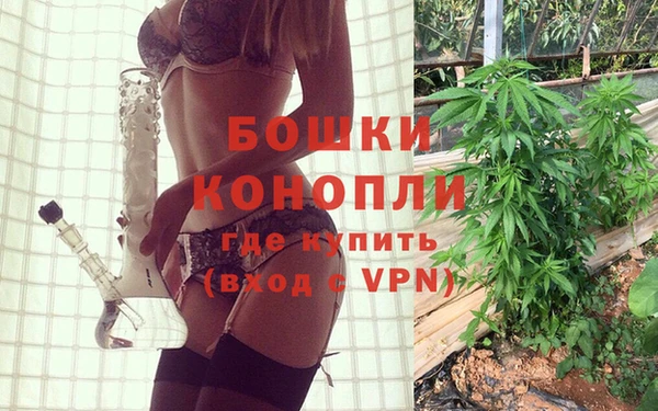 индика Абаза