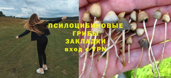 индика Абаза