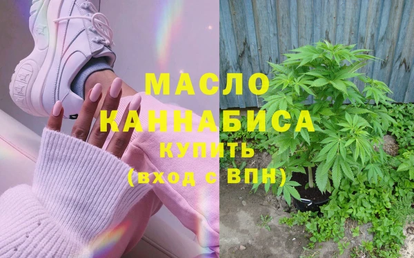 индика Абаза