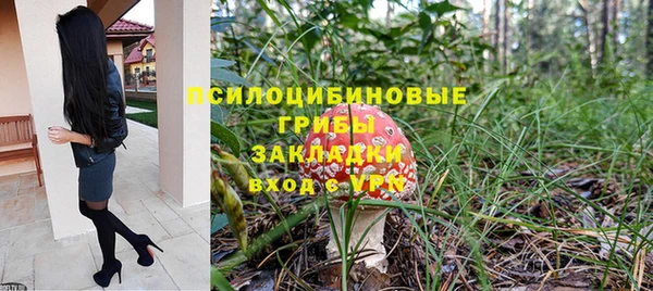 хмурый Абинск