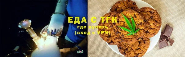 индика Абаза