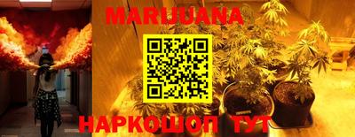 PSILOCYBIN Сланцы