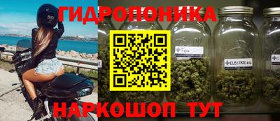PSILOCYBIN Сланцы