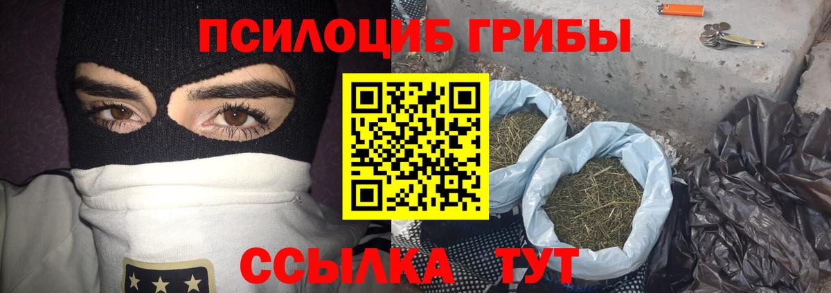 Псилоцибиновые грибы Psilocybe  Галлюциногенные грибы мухоморы  Орск  Вход с VPN 
